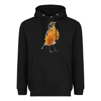 Black American Robin Bird Heavyweight Hoodie - LillyAllenDesigns