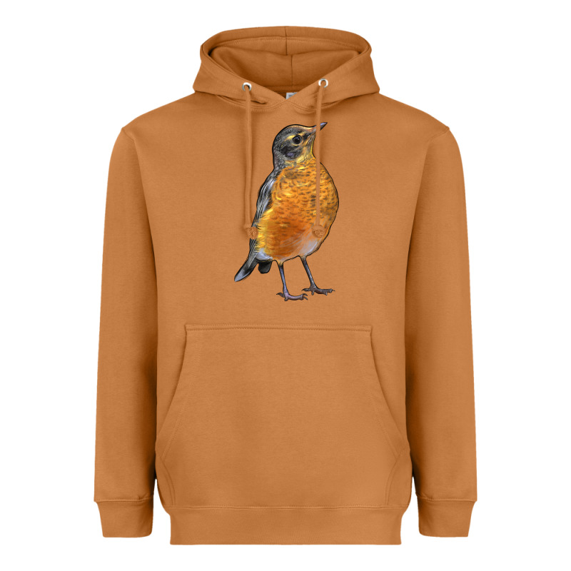 American Robin Bird Heavyweight Hoodie by LillyAllenDesigns | Teevron