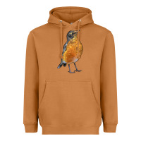 Meerkat American Robin Bird Heavyweight Hoodie - LillyAllenDesigns