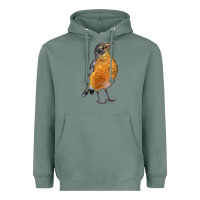 Sage American Robin Bird Heavyweight Hoodie - LillyAllenDesigns