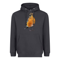 Smoke American Robin Bird Heavyweight Hoodie - LillyAllenDesigns