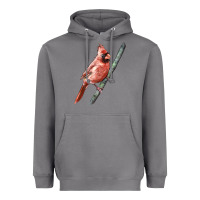 Storm Northern Cardinal Bird Heavyweight Hoodie - LillyAllenDesigns