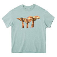 Arona lactarius rufus mushroom Heavy Core Tee - LillyAllenDesigns