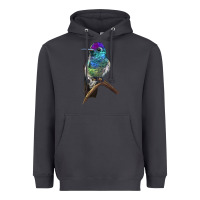 Smoke Rivoli`s Hummingbird Heavyweight Hoodie - LillyAllenDesigns