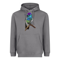 Storm Rivoli`s Hummingbird Heavyweight Hoodie - LillyAllenDesigns