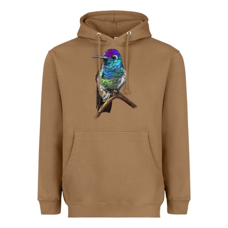 Rivoli`s Hummingbird Heavyweight Hoodie by LillyAllenDesigns | Teevron