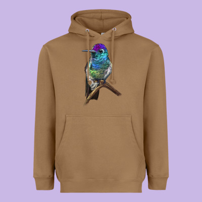 Rivoli`s Hummingbird Heavyweight Hoodie Designed By Lillyallendesigns