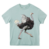 Arona Ostrich Heavy Core Tee - LillyAllenDesigns