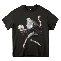 Asphalt Ostrich Heavy Core Tee - LillyAllenDesigns