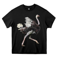 Black Ostrich Heavy Core Tee - LillyAllenDesigns