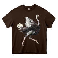 Chocolate Brown Ostrich Heavy Core Tee - LillyAllenDesigns