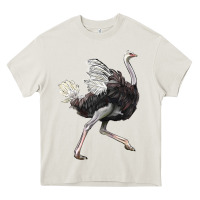 Cream Ostrich Heavy Core Tee - LillyAllenDesigns