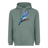 Sage Blue Jay Bird Heavyweight Hoodie - LillyAllenDesigns