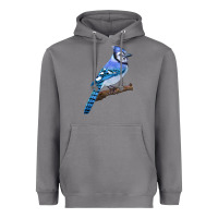 Storm Blue Jay Bird Heavyweight Hoodie - LillyAllenDesigns