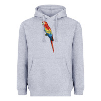 Heather Grey Scarlet Macaw Parrot Heavyweight Hoodie - LillyAllenDesigns
