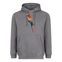 Storm Scarlet Macaw Parrot Heavyweight Hoodie - LillyAllenDesigns