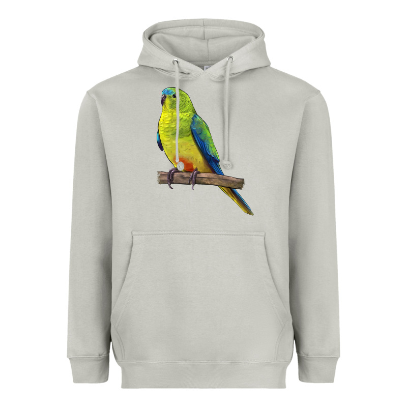 Neophema Parrot Heavyweight Hoodie by LillyAllenDesigns | Teevron