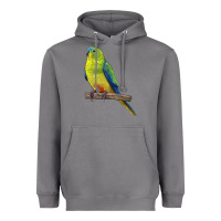 Storm Neophema Parrot Heavyweight Hoodie - LillyAllenDesigns