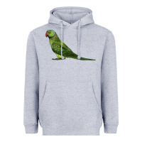 Heather Grey Ring Necked Parakeet Heavyweight Hoodie - LillyAllenDesigns