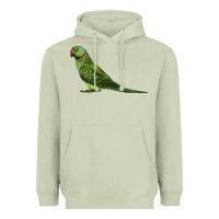 Matcha Ring Necked Parakeet Heavyweight Hoodie - LillyAllenDesigns