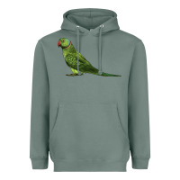 Sage Ring Necked Parakeet Heavyweight Hoodie - LillyAllenDesigns