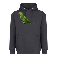 Smoke Ring Necked Parakeet Heavyweight Hoodie - LillyAllenDesigns