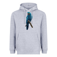 Heather Grey Hyacinth Macaw Heavyweight Hoodie - LillyAllenDesigns