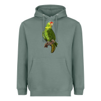 Sage New Zealand Paraket Parrot Heavyweight Hoodie - LillyAllenDesigns