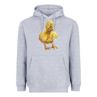 Heather Grey Baby Duck Heavyweight Hoodie - LillyAllenDesigns