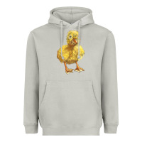 Moon Dust Baby Duck Heavyweight Hoodie - LillyAllenDesigns
