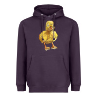 Plum Baby Duck Heavyweight Hoodie - LillyAllenDesigns