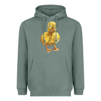 Sage Baby Duck Heavyweight Hoodie - LillyAllenDesigns
