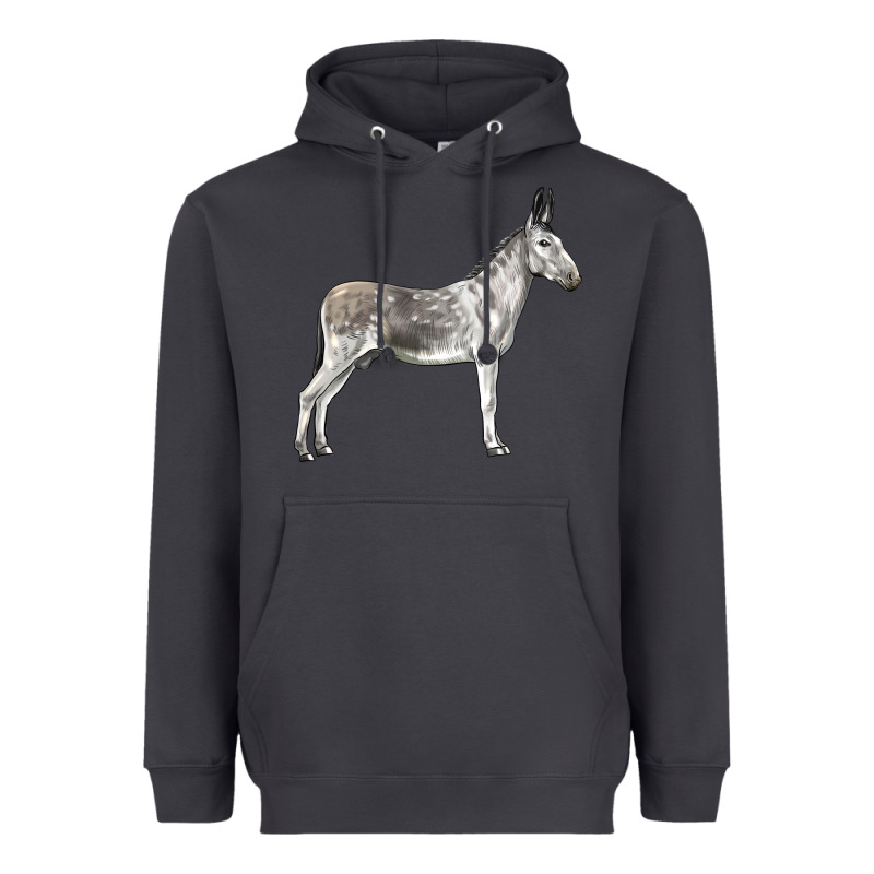 Andalusian Donkey Heavyweight Hoodie by LillyAllenDesigns | Teevron