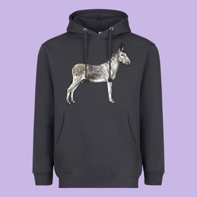 Andalusian Donkey Heavyweight Hoodie Designed By Lillyallendesigns