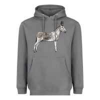 Storm Andalusian Donkey Heavyweight Hoodie - LillyAllenDesigns