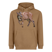 Toasted Coconut Red Brocket Buck Deer Heavyweight Hoodie - LillyAllenDesigns