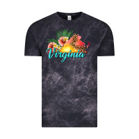 Cloud Black summer virginia Vintage Tee - texasbilliewilder