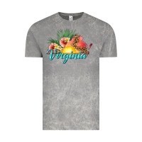 Cloud Rock summer virginia Vintage Tee - texasbilliewilder