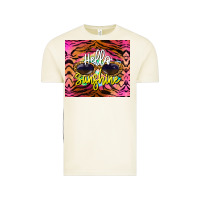 Vintage Arctic hello sunshine Vintage Tee - BarkalooDesign