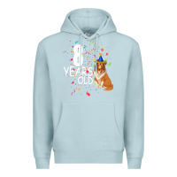 Blue Mist 8 years old Premium Hoodie - Bettercallsaul