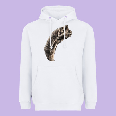 Brachiosaurus Face Heavyweight Hoodie Designed By Lillyallendesigns