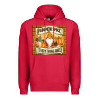 Cardinal Pumpkin Spice Everything Nice Gnome Premium Hoodie - MaliasSmallBusiness