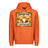 Carrot Pumpkin Spice Everything Nice Gnome Premium Hoodie - MaliasSmallBusiness