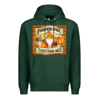Sports Green Pumpkin Spice Everything Nice Gnome Premium Hoodie - MaliasSmallBusiness