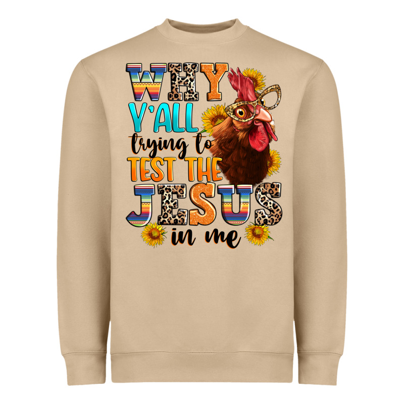 Why Yall Trying To Test The Jesus In Me Heavyweight Sweatshirt by texasbilliewilder | Teevron