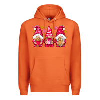 Carrot Pink Christmas gnomes Premium Hoodie - NancyCooperArtShop