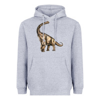 Heather Grey Brachiosaurus Heavyweight Hoodie - LillyAllenDesigns