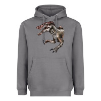 Storm Spinosaurus Face Heavyweight Hoodie - LillyAllenDesigns