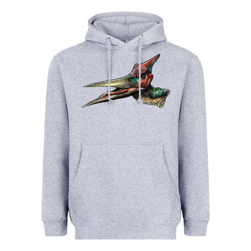 Pteranodon Face Heavyweight Hoodie by LillyAllenDesigns | Teevron