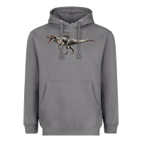 Storm Spinosaurus Heavyweight Hoodie - LillyAllenDesigns
